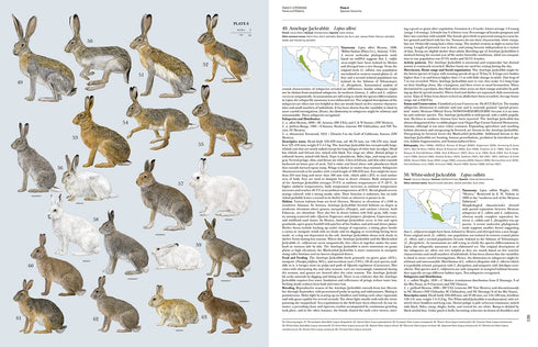 Handbook of the Mammals of the World no 6 -Lagomorphs and Rodents -  Lynx 2016
